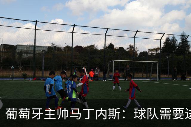 葡萄牙主帅马丁内斯：球队需要进球时换下C罗毫无道理